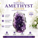 Natural Amethyst Geode 850 GM